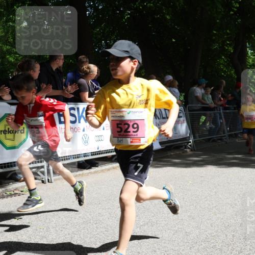 17.05.2025 - Störlauf Strokosch-Dieckow http://msf.ph/oto/7847864 17.05.2025 13:56:56 Ziel 63, 2025, 529, 506, 0000 meine-sportfotos.de