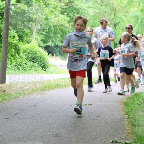 17.05.2025 - Störlauf Strokosch-Dieckow http://msf.ph/oto/7847867 17.05.2025 13:42:53 Laufen 4, 356, 41, 359, 240 meine-sportfotos.de