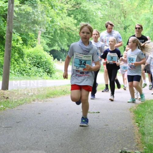 17.05.2025 - Störlauf Strokosch-Dieckow http://msf.ph/oto/7847875 17.05.2025 13:42:53 Laufen 34, 356, 42, 35, 41, 240 meine-sportfotos.de