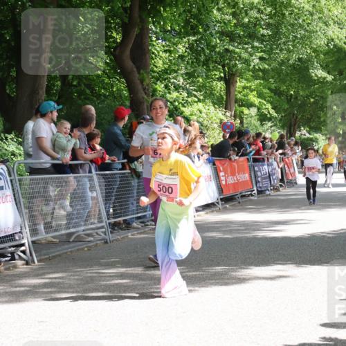 17.05.2025 - Störlauf Strokosch-Dieckow http://msf.ph/oto/7847886 17.05.2025 13:57:03 Ziel 500 meine-sportfotos.de