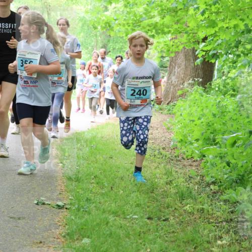 17.05.2025 - Störlauf Strokosch-Dieckow http://msf.ph/oto/7847895 17.05.2025 13:42:55 Laufen 2025, 8, 2025, 35, 98, 20, 15, 240 meine-sportfotos.de