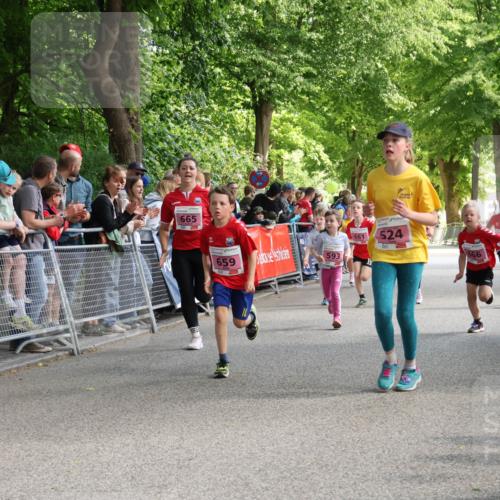 17.05.2025 - Störlauf Strokosch-Dieckow http://msf.ph/oto/7847931 17.05.2025 13:57:25 Ziel 665, 659, 661, 593, 524 meine-sportfotos.de