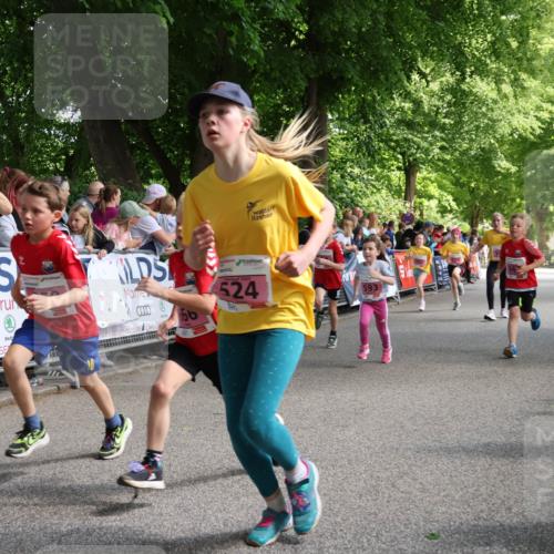 17.05.2025 - Störlauf Strokosch-Dieckow http://msf.ph/oto/7847941 17.05.2025 13:57:27 Ziel 0000, 6, 524, 593 meine-sportfotos.de