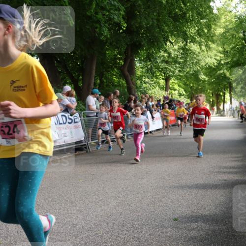 17.05.2025 - Störlauf Strokosch-Dieckow http://msf.ph/oto/7847943 17.05.2025 13:57:27 Ziel 524, 661, 593, 662, 6 meine-sportfotos.de