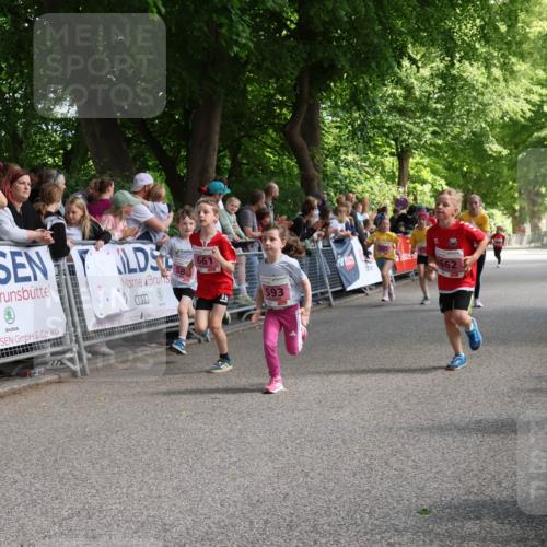 17.05.2025 - Störlauf Strokosch-Dieckow http://msf.ph/oto/7847946 17.05.2025 13:57:27 Ziel 000, 661, 662, 593 meine-sportfotos.de