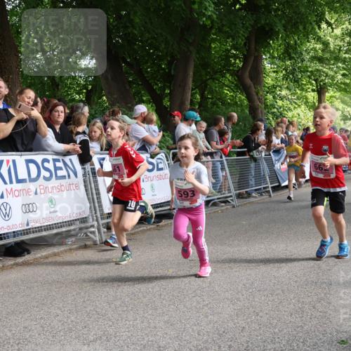 17.05.2025 - Störlauf Strokosch-Dieckow http://msf.ph/oto/7847947 17.05.2025 13:57:28 Ziel 0000, 70, 593, 66, 542 meine-sportfotos.de