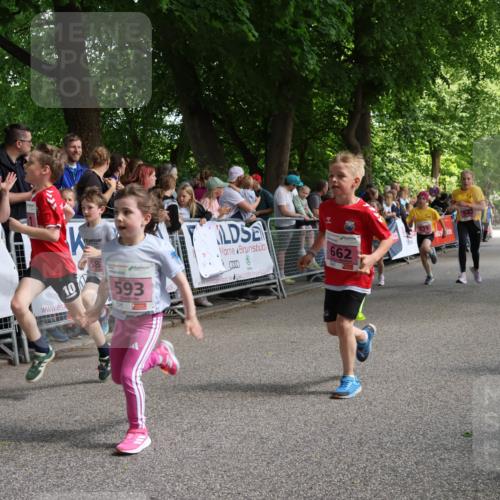 17.05.2025 - Störlauf Strokosch-Dieckow http://msf.ph/oto/7847949 17.05.2025 13:57:28 Ziel 10, 58, 593, 662 meine-sportfotos.de