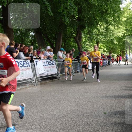 17.05.2025 - Störlauf Strokosch-Dieckow http://msf.ph/oto/7847953 17.05.2025 13:57:29 Ziel 539, 542 meine-sportfotos.de