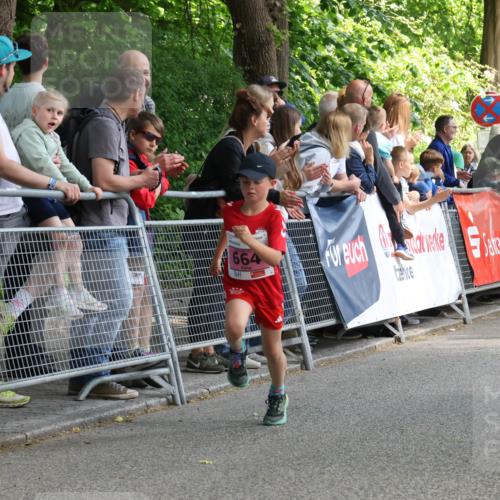 17.05.2025 - Störlauf Strokosch-Dieckow http://msf.ph/oto/7847959 17.05.2025 13:57:31 Ziel 25, 664, 658 meine-sportfotos.de