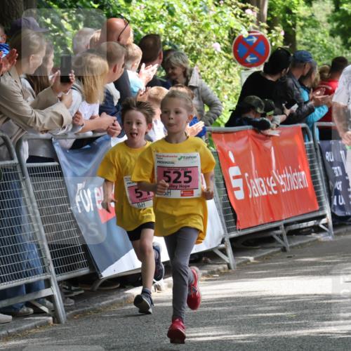 17.05.2025 - Störlauf Strokosch-Dieckow http://msf.ph/oto/7847979 17.05.2025 13:57:47 Ziel 2025, 525, 40, 11, 397 meine-sportfotos.de