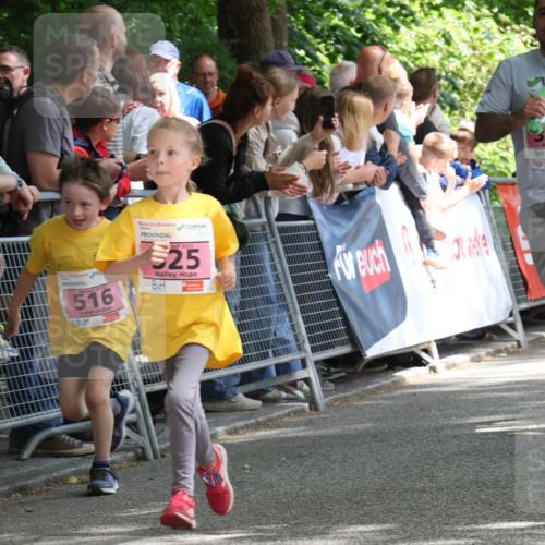 17.05.2025 - Störlauf Strokosch-Dieckow http://msf.ph/oto/7847983 17.05.2025 13:57:48 Ziel 516, 25, 397 meine-sportfotos.de