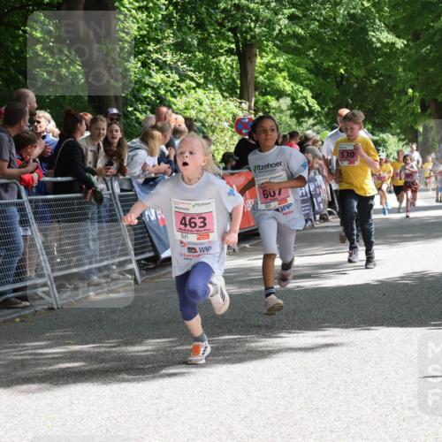 17.05.2025 - Störlauf Strokosch-Dieckow http://msf.ph/oto/7848013 17.05.2025 13:57:56 Ziel 403, 2025, 463, 607, 530 meine-sportfotos.de