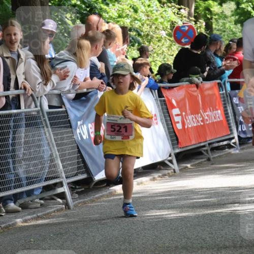 17.05.2025 - Störlauf Strokosch-Dieckow http://msf.ph/oto/7848032 17.05.2025 13:58:01 Ziel 521, 627 meine-sportfotos.de