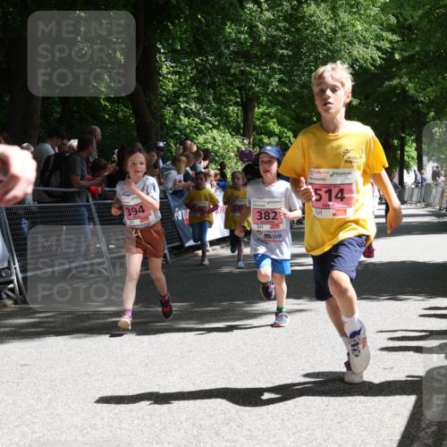 17.05.2025 - Störlauf Strokosch-Dieckow http://msf.ph/oto/7848042 17.05.2025 13:58:04 Ziel 394, 520, 382, 514 meine-sportfotos.de
