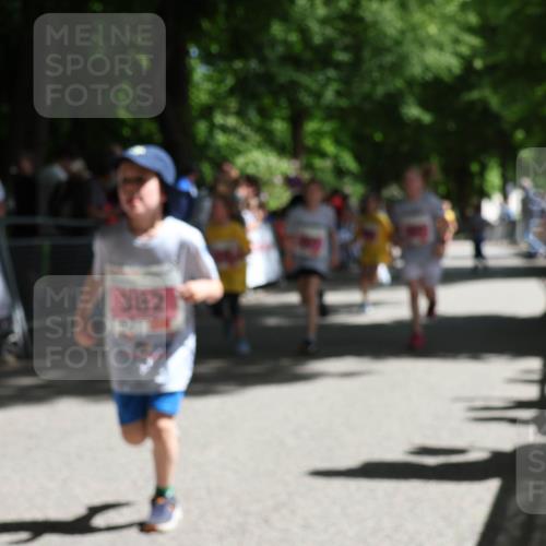 17.05.2025 - Störlauf Strokosch-Dieckow http://msf.ph/oto/7848046 17.05.2025 13:58:05 Ziel 382 meine-sportfotos.de
