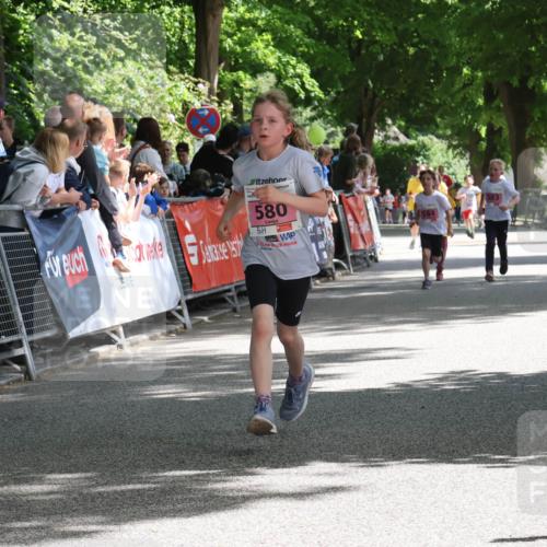 17.05.2025 - Störlauf Strokosch-Dieckow http://msf.ph/oto/7848072 17.05.2025 13:58:16 Ziel 157, 580, 584, 583 meine-sportfotos.de