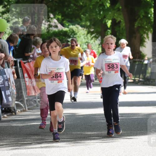 17.05.2025 - Störlauf Strokosch-Dieckow http://msf.ph/oto/7848076 17.05.2025 13:58:18 Ziel 2025, 584, 519, 2025, 583 meine-sportfotos.de
