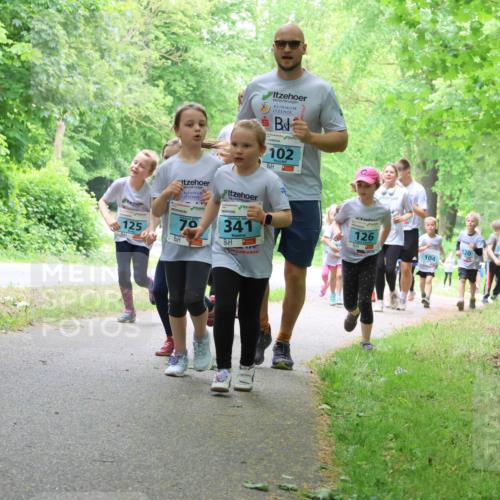 17.05.2025 - Störlauf Strokosch-Dieckow http://msf.ph/oto/7848147 17.05.2025 13:43:29 Laufen 102, 125, 70, 341, 126, 104, 120 meine-sportfotos.de