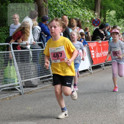 17.05.2025 - Störlauf Strokosch-Dieckow http://msf.ph/oto/7848159 17.05.2025 13:58:48 Ziel 2025, 487, 564 meine-sportfotos.de