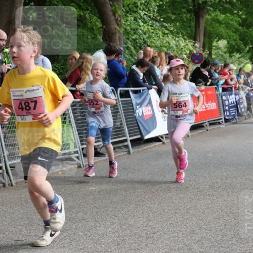 17.05.2025 - Störlauf Strokosch-Dieckow http://msf.ph/oto/7848164 17.05.2025 13:58:49 Ziel 2025, 487, 552, 564 meine-sportfotos.de