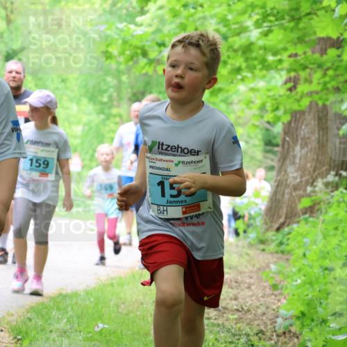 17.05.2025 - Störlauf Strokosch-Dieckow http://msf.ph/oto/7848249 17.05.2025 13:43:46 Laufen 2025, 72, 2, 10, 159, 369, 153 meine-sportfotos.de