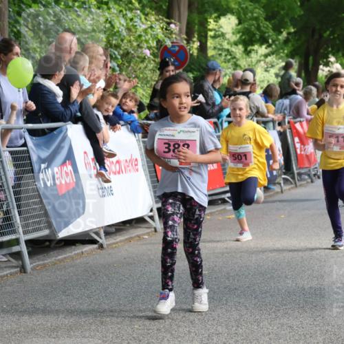 17.05.2025 - Störlauf Strokosch-Dieckow http://msf.ph/oto/7848255 17.05.2025 13:59:48 Ziel 2025, 389, 393, 501 meine-sportfotos.de