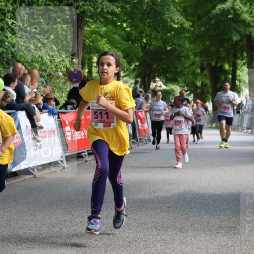 17.05.2025 - Störlauf Strokosch-Dieckow http://msf.ph/oto/7848259 17.05.2025 13:59:50 Ziel 2025, 38, 501, 2025, 511, 393, 373 meine-sportfotos.de