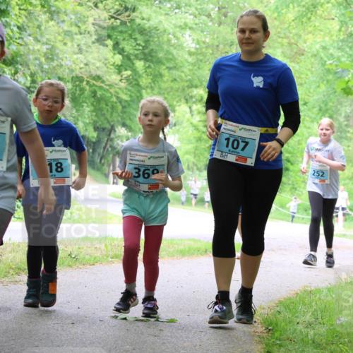 17.05.2025 - Störlauf Strokosch-Dieckow http://msf.ph/oto/7848274 17.05.2025 13:43:51 Laufen 2025, 159, 2025, 18, 369, 2025, 107, 252, 187 meine-sportfotos.de