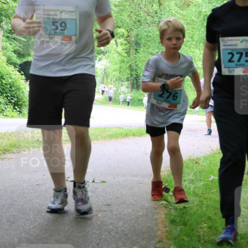 17.05.2025 - Störlauf Strokosch-Dieckow http://msf.ph/oto/7848321 17.05.2025 13:44:06 Laufen 24, 59, 276, 275, 8 meine-sportfotos.de