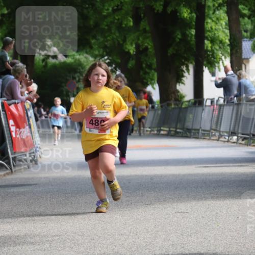 17.05.2025 - Störlauf Strokosch-Dieckow http://msf.ph/oto/7848332 17.05.2025 14:00:28 Ziel 40, 480 meine-sportfotos.de