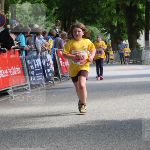 17.05.2025 - Störlauf Strokosch-Dieckow http://msf.ph/oto/7848334 17.05.2025 14:00:30 Ziel  meine-sportfotos.de