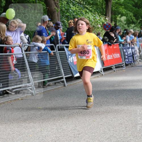 17.05.2025 - Störlauf Strokosch-Dieckow http://msf.ph/oto/7848337 17.05.2025 14:00:33 Ziel 480 meine-sportfotos.de
