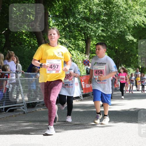 17.05.2025 - Störlauf Strokosch-Dieckow http://msf.ph/oto/7848409 17.05.2025 14:01:48 Ziel 5, 497, 159, 458, 624 meine-sportfotos.de