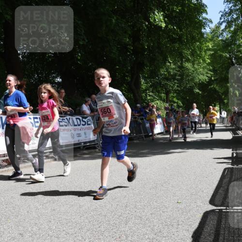 17.05.2025 - Störlauf Strokosch-Dieckow http://msf.ph/oto/7848417 17.05.2025 14:01:55 Ziel 624, 560 meine-sportfotos.de