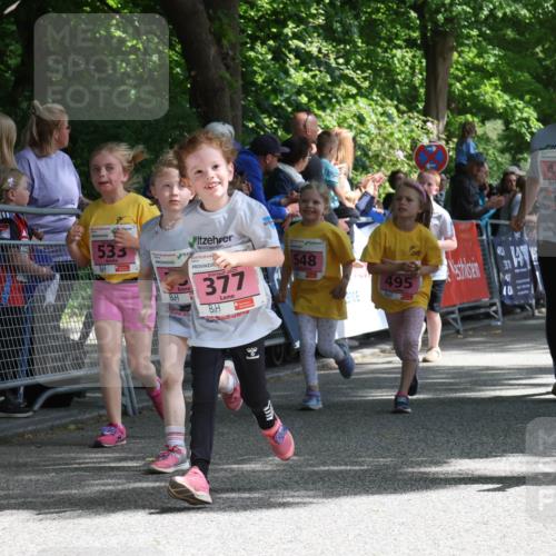 17.05.2025 - Störlauf Strokosch-Dieckow http://msf.ph/oto/7848419 17.05.2025 14:01:57 Ziel 533, 2025, 377, 548, 495, 437, 2025, 466 meine-sportfotos.de