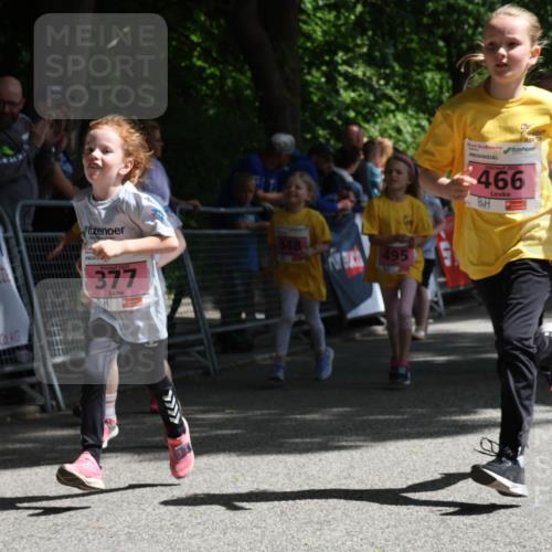 17.05.2025 - Störlauf Strokosch-Dieckow http://msf.ph/oto/7848421 17.05.2025 14:01:57 Ziel 377, 548, 495, 2025, 466 meine-sportfotos.de