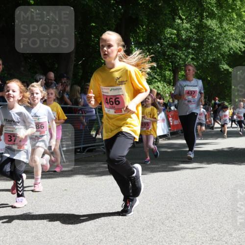 17.05.2025 - Störlauf Strokosch-Dieckow http://msf.ph/oto/7848423 17.05.2025 14:01:58 Ziel 37, 86, 2025, 466, 495, 437, 07 meine-sportfotos.de
