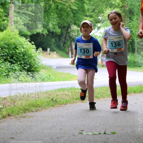 17.05.2025 - Störlauf Strokosch-Dieckow http://msf.ph/oto/7848426 17.05.2025 13:44:34 Laufen 2025, 130, 2025, 136, 2025, 5 meine-sportfotos.de