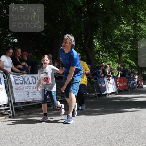 17.05.2025 - Störlauf Strokosch-Dieckow http://msf.ph/oto/7848452 17.05.2025 14:02:19 Ziel 11, 417 meine-sportfotos.de