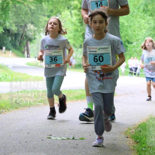 17.05.2025 - Störlauf Strokosch-Dieckow http://msf.ph/oto/7848489 17.05.2025 13:44:49 Laufen 2025, 14, 2025, 36, 2025, 60, 33 meine-sportfotos.de