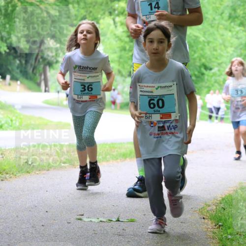 17.05.2025 - Störlauf Strokosch-Dieckow http://msf.ph/oto/7848494 17.05.2025 13:44:49 Laufen 2025, 14, 2025, 36, 2025, 60, 33 meine-sportfotos.de
