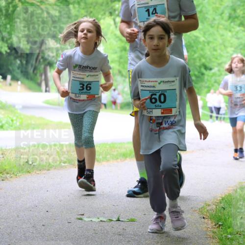17.05.2025 - Störlauf Strokosch-Dieckow http://msf.ph/oto/7848497 17.05.2025 13:44:49 Laufen 2025, 14, 2025, 36, 2025, 60, 33 meine-sportfotos.de