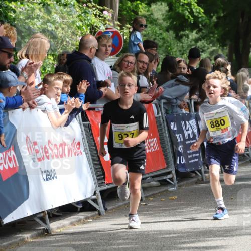 17.05.2025 - Störlauf Strokosch-Dieckow http://msf.ph/oto/7848550 17.05.2025 14:08:20 Ziel 2025, 927, 40, 880 meine-sportfotos.de