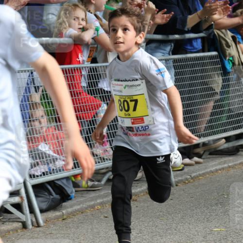 17.05.2025 - Störlauf Strokosch-Dieckow http://msf.ph/oto/7848593 17.05.2025 14:09:39 Ziel 784, 2025, 807 meine-sportfotos.de