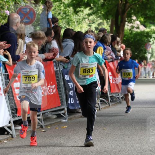 17.05.2025 - Störlauf Strokosch-Dieckow http://msf.ph/oto/7848599 17.05.2025 14:09:44 Ziel 2025, 789, 40, 883, 935, 694 meine-sportfotos.de