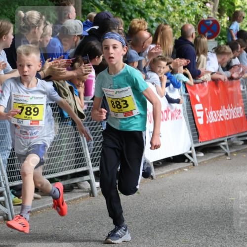 17.05.2025 - Störlauf Strokosch-Dieckow http://msf.ph/oto/7848603 17.05.2025 14:09:45 Ziel 2025, 789, 40, 883, 40, 935 meine-sportfotos.de