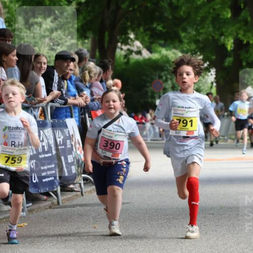 17.05.2025 - Störlauf Strokosch-Dieckow http://msf.ph/oto/7848631 17.05.2025 14:10:10 Ziel 759, 7, 25524, 390, 791, 972 meine-sportfotos.de