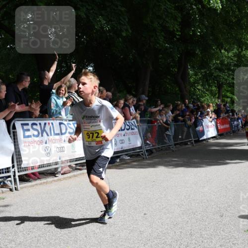 17.05.2025 - Störlauf Strokosch-Dieckow http://msf.ph/oto/7848657 17.05.2025 14:10:22 Ziel 972 meine-sportfotos.de