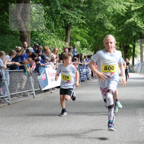 17.05.2025 - Störlauf Strokosch-Dieckow http://msf.ph/oto/7848668 17.05.2025 14:10:27 Ziel 778, 800 meine-sportfotos.de
