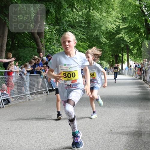 17.05.2025 - Störlauf Strokosch-Dieckow http://msf.ph/oto/7848670 17.05.2025 14:10:28 Ziel 570, 2025, 300, 54 meine-sportfotos.de